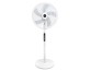 Household High-Wind Upright Pedestal Fan