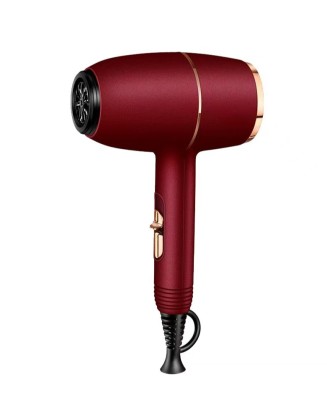 High-Speed High-Power Household Hair Dryer